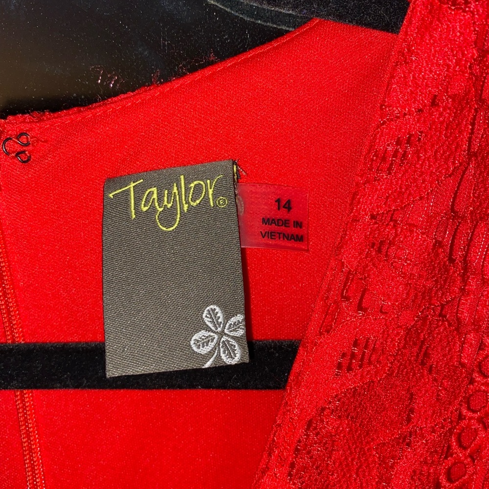 Taylor size 14 lace dress